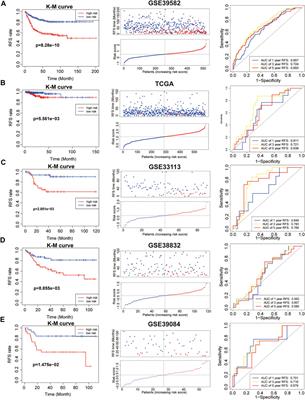 Identification and Validation of an Immune Evasion Molecular Subgroup of Patients With Colon Cancer for Implications of Immunotherapy